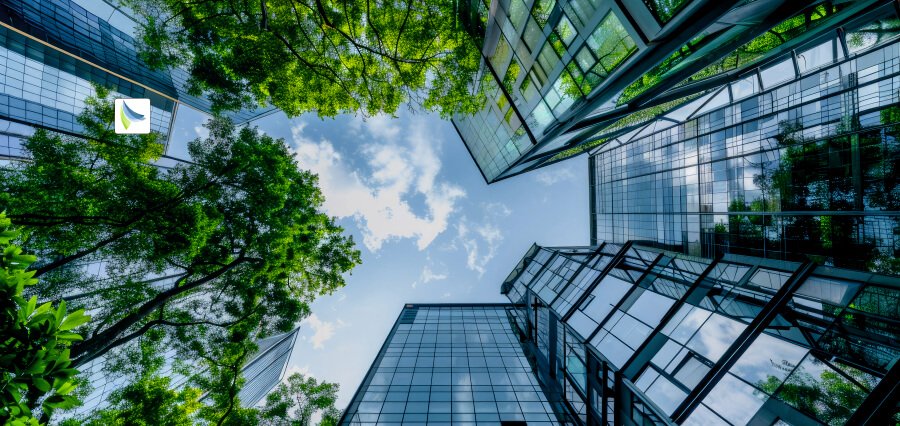 Psychological Safety