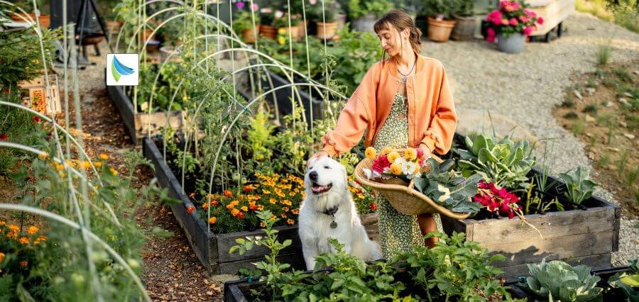 Eco-Friendly Pet: Build a Greener Environment in 2025