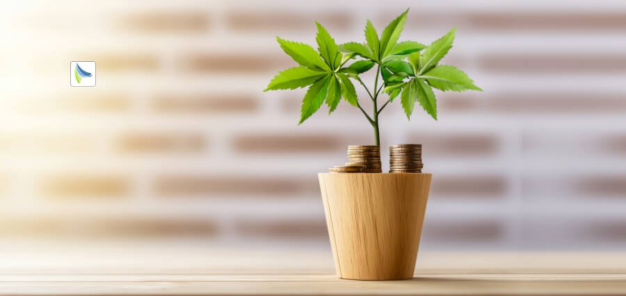 Women Leading Wealth Leadership in Startups