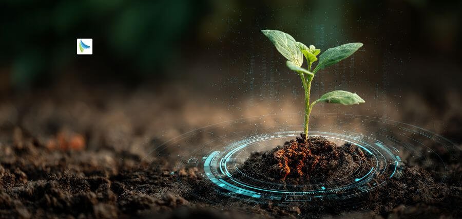 Sustainable Development